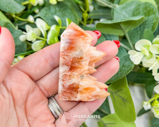 Tangerine Dogtooth Calcite Point No. 1 (2.2oz) – Natural Wolftooth Crystal for Creativity & Vitality