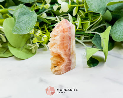 Tangerine Dogtooth Calcite Point No. 3 (2.5oz) – Natural Wolftooth Crystal for Manifestation & Creativity