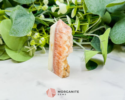 Tangerine Dogtooth Calcite Point No. 3 (2.5oz) – Natural Wolftooth Crystal for Manifestation & Creativity