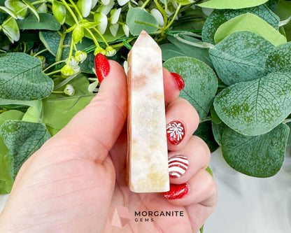 Tangerine Dogtooth Calcite Point No. 3 (2.5oz) – Natural Wolftooth Crystal for Manifestation & Creativity