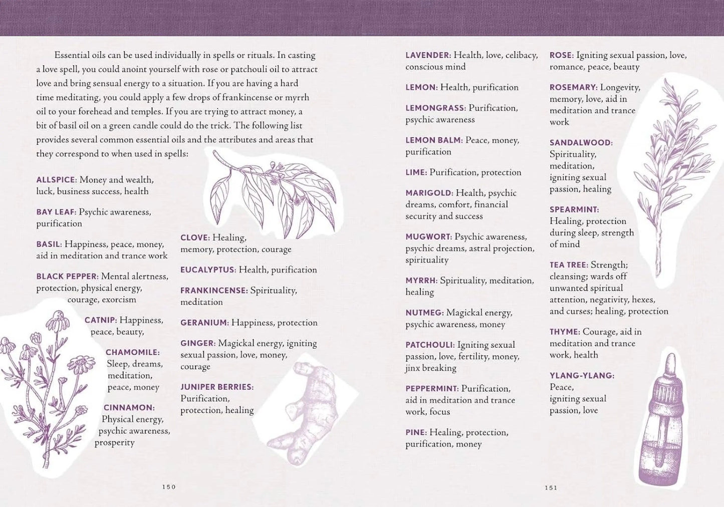 The Good Witch's Perpetual Planner by Shawn Robbins-Morganite Gems