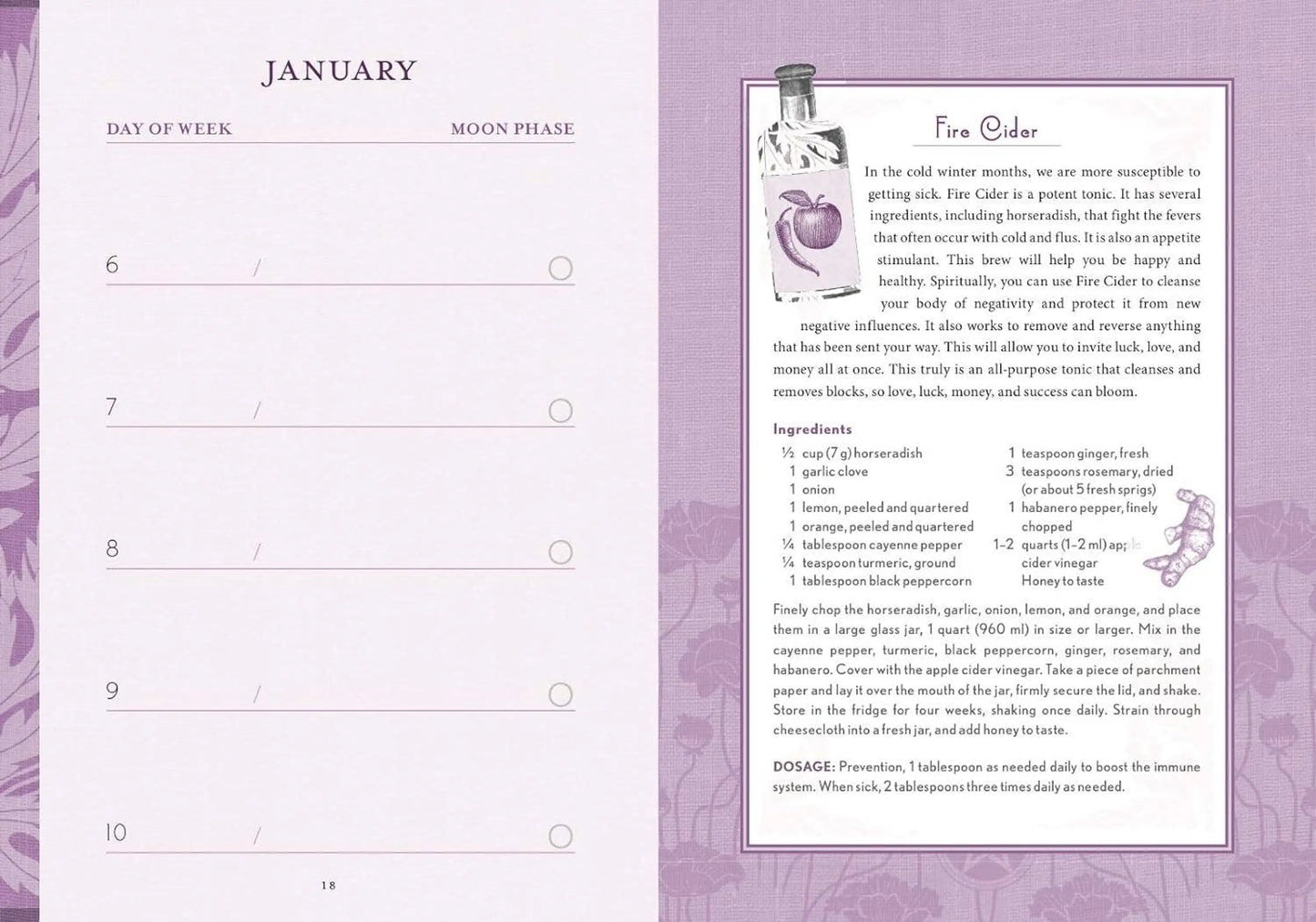 The Good Witch's Perpetual Planner by Shawn Robbins-Morganite Gems