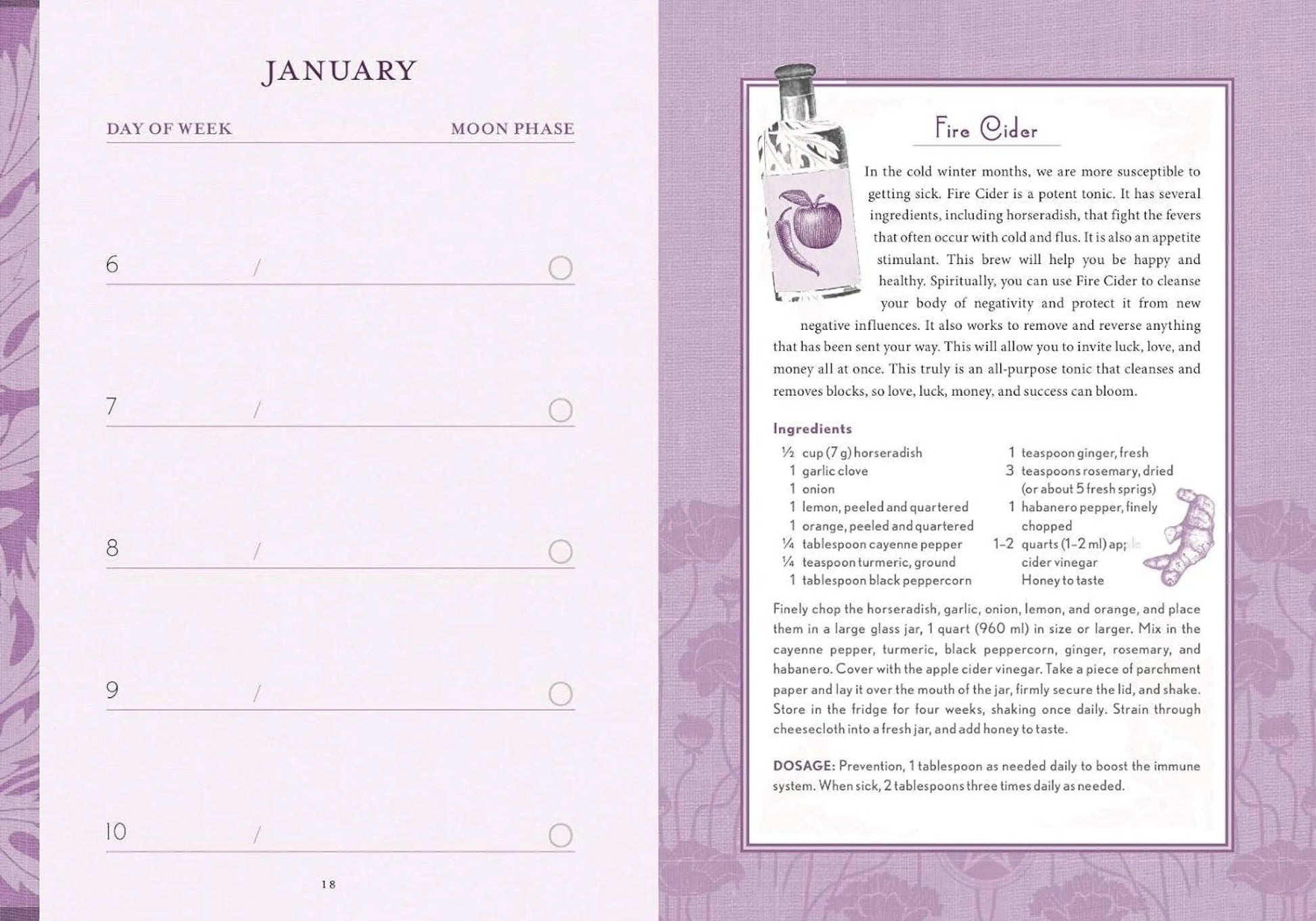 The Good Witch's Perpetual Planner by Shawn Robbins-Morganite Gems
