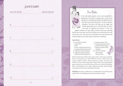 The Good Witch's Perpetual Planner by Shawn Robbins-Morganite Gems