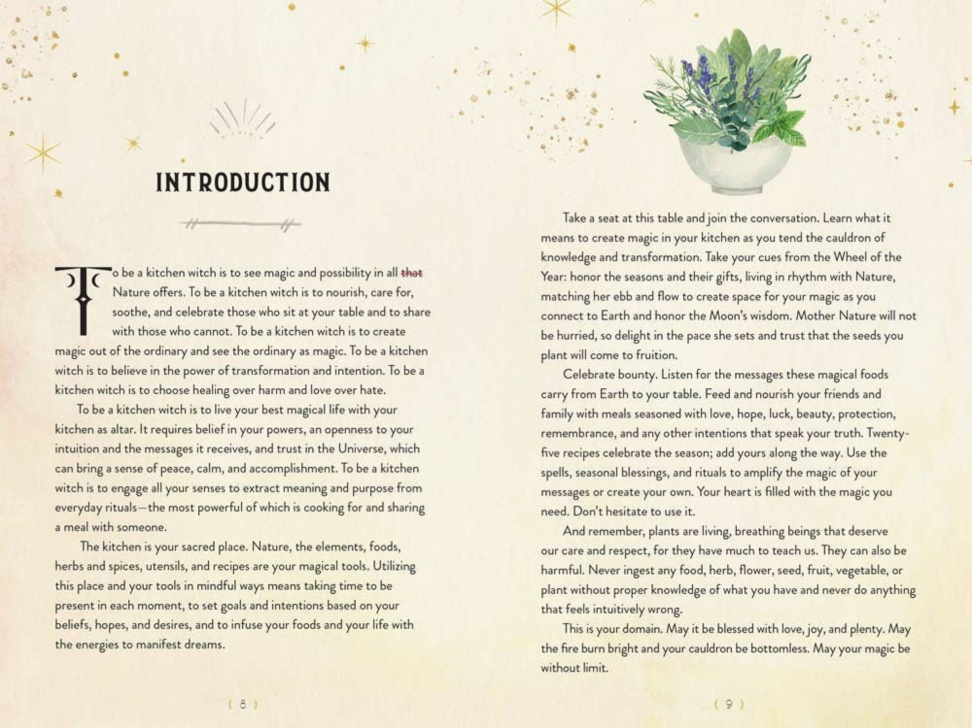 The Kitchen Witch Handbook: Recipes And Potions For Everyday - Books Movies & Music