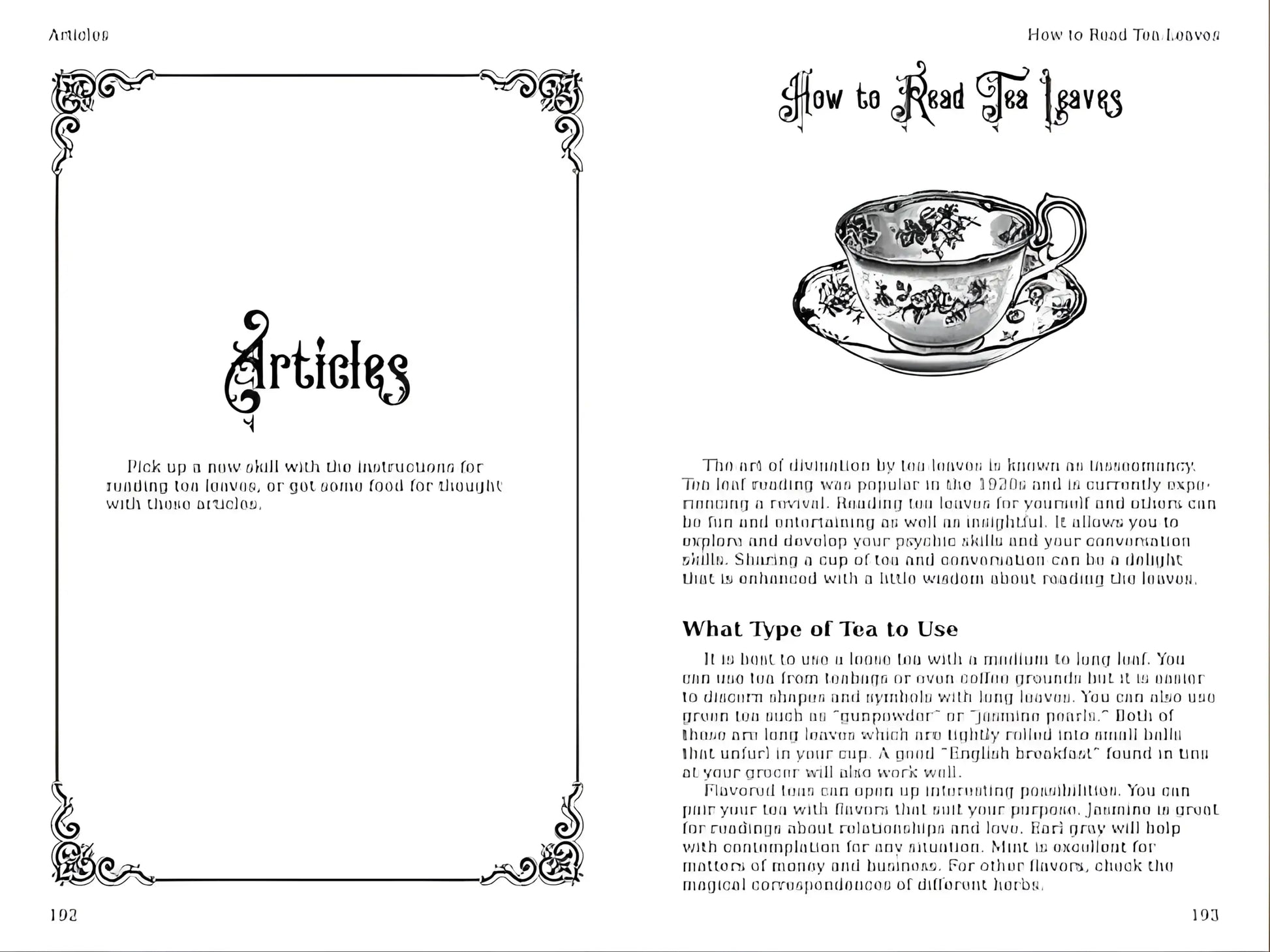 The Practical Witch's Almanac 2023: Infinite Spells (26) (Good Life)-Morganite Gems