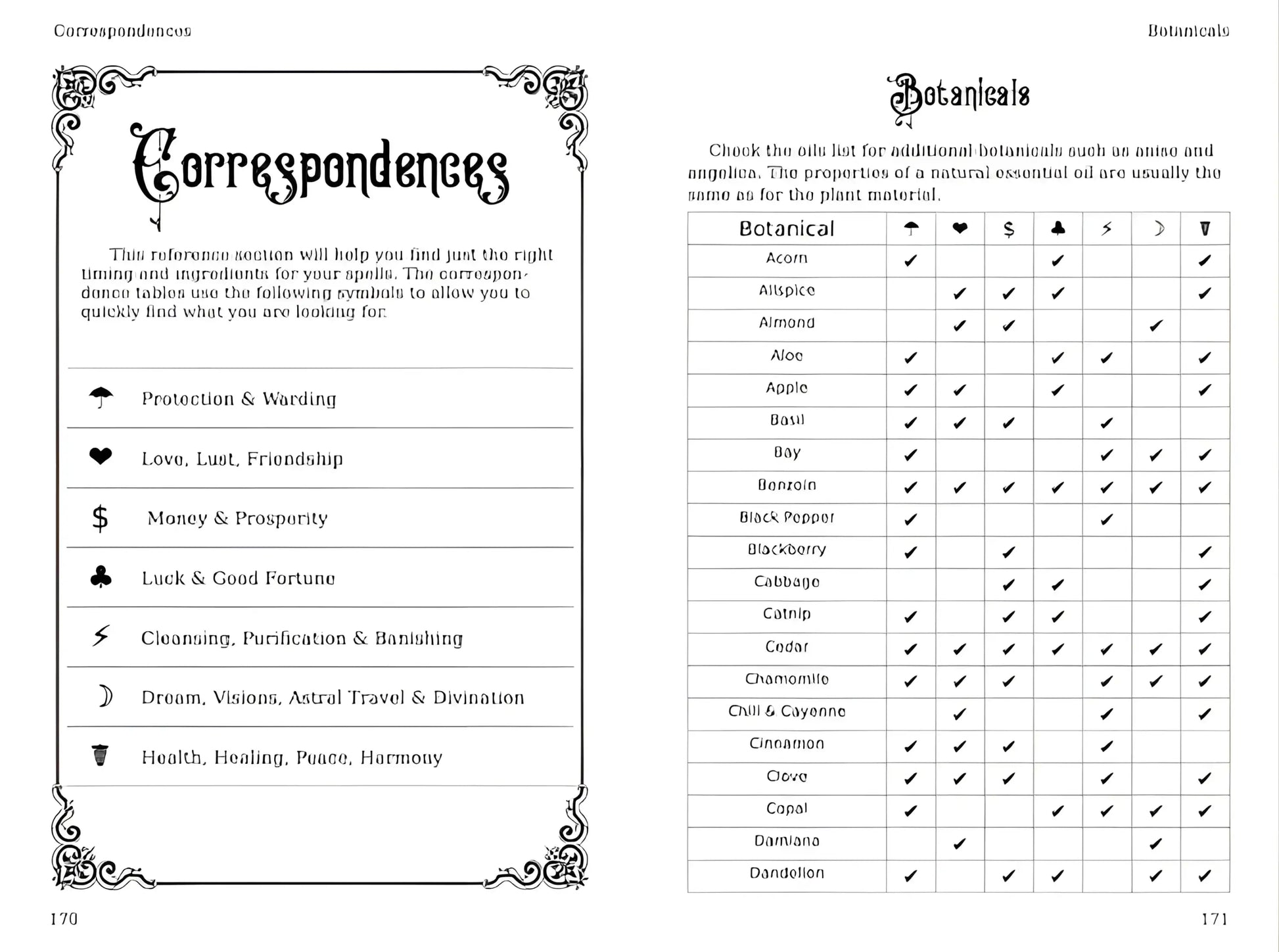 The Practical Witch's Almanac 2023: Infinite Spells (26) (Good Life)-Morganite Gems