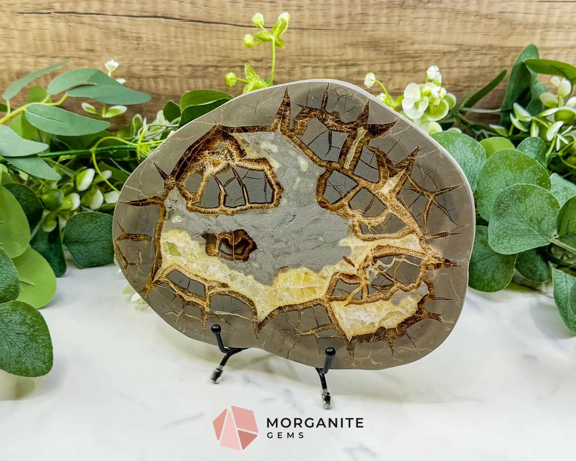 Utah Septarian ’Dragon Stone’ Geode Slice No. 1 – 8.75’’ Polished Local Specimen for Grounding & Protection