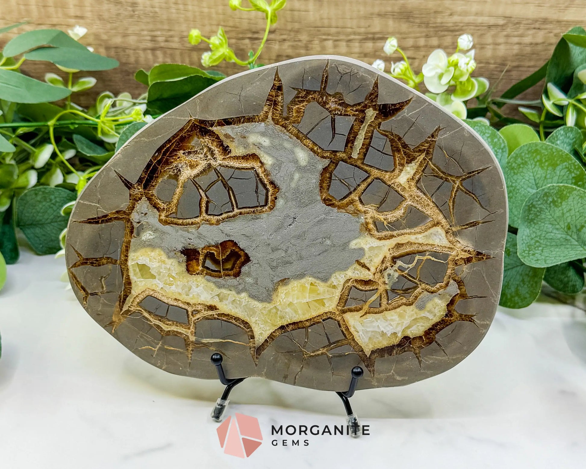 Utah Septarian ’Dragon Stone’ Geode Slice No. 1 – 8.75’’ Polished Local Specimen for Grounding & Protection - w/ 6’’