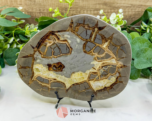 Utah Septarian ’Dragon Stone’ Geode Slice No. 1 – 8.75’’ Polished Local Specimen for Grounding & Protection - w/ 6’’