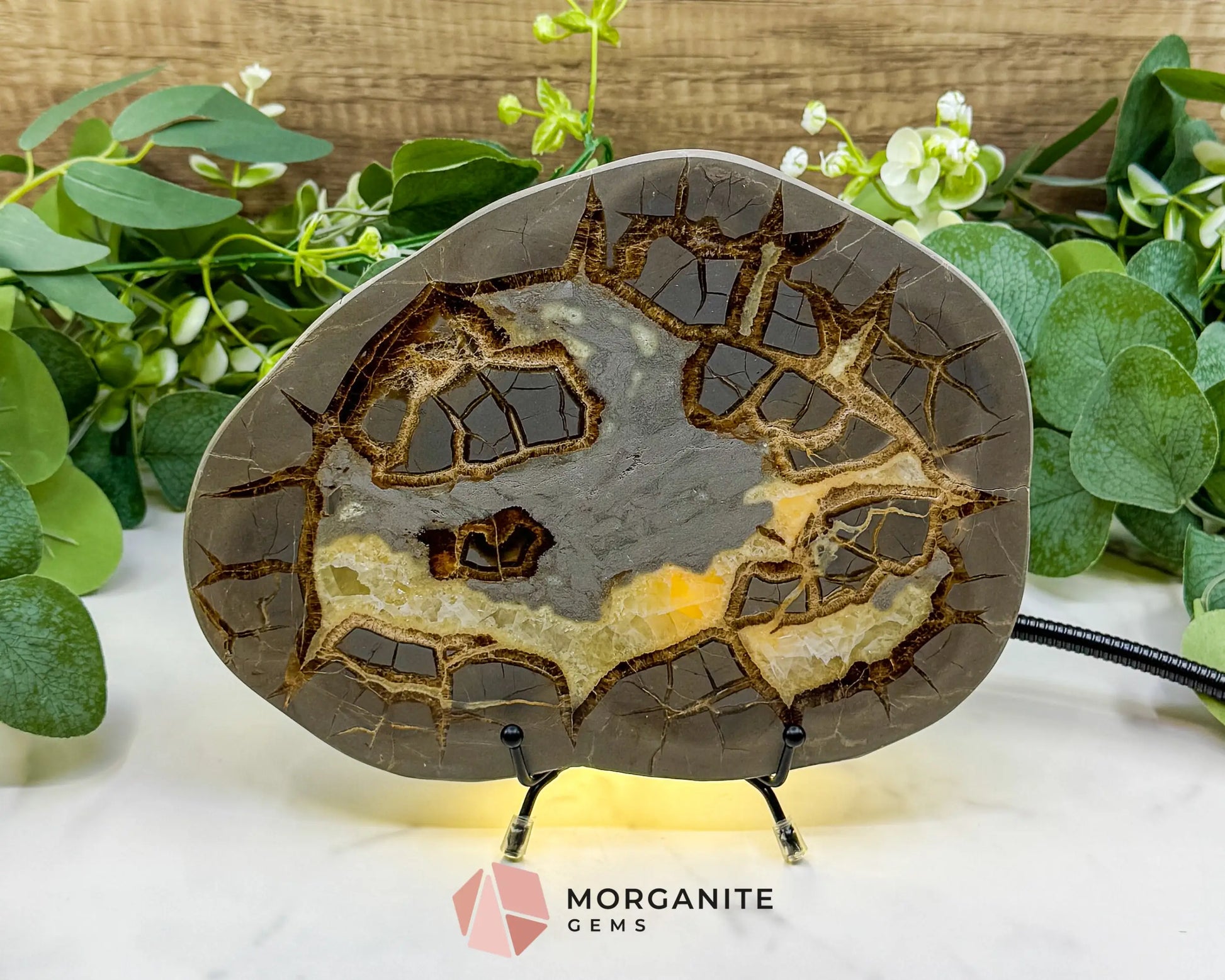 Utah Septarian ’Dragon Stone’ Geode Slice No. 1 – 8.75’’ Polished Local Specimen for Grounding & Protection