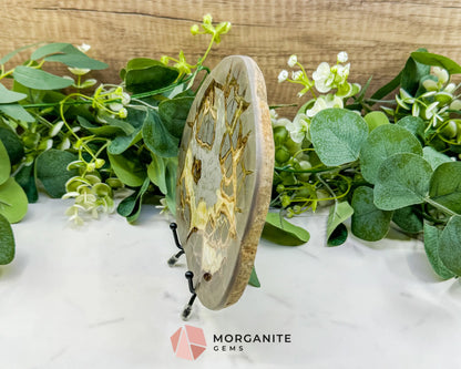 Utah Septarian ’Dragon Stone’ Geode Slice No. 1 – 8.75’’ Polished Local Specimen for Grounding & Protection