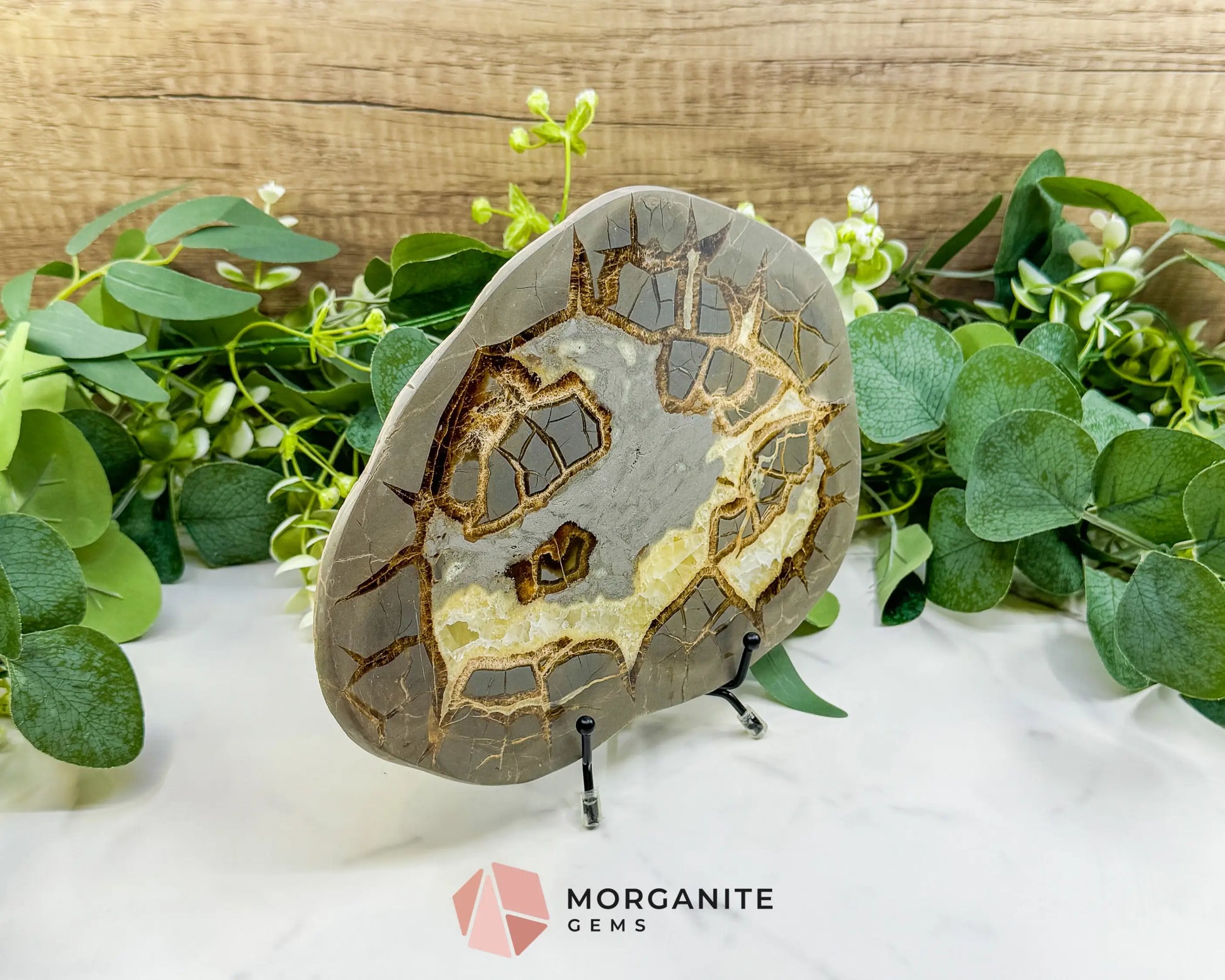 Utah Septarian ’Dragon Stone’ Geode Slice No. 1 – 8.75’’ Polished Local Specimen for Grounding & Protection