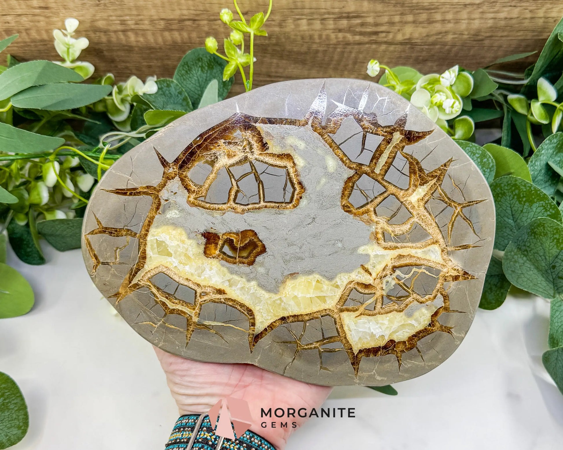 Utah Septarian ’Dragon Stone’ Geode Slice No. 1 – 8.75’’ Polished Local Specimen for Grounding & Protection