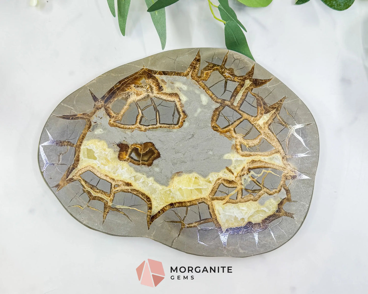 Utah Septarian ’Dragon Stone’ Geode Slice No. 1 – 8.75’’ Polished Local Specimen for Grounding & Protection - Slab Only