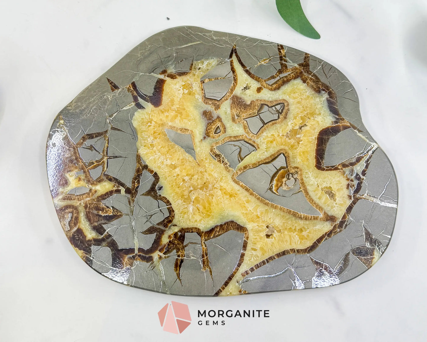 Utah Septarian ’Dragon Stone’ Geode Slice No. 2 (2.02lb) – 8.75’’ Polished Local Specimen for Grounding & Protection