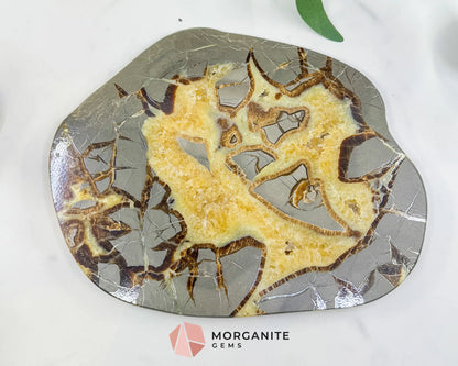 Utah Septarian ’Dragon Stone’ Geode Slice No. 2 (2.02lb) – 8.75’’ Polished Local Specimen for Grounding & Protection