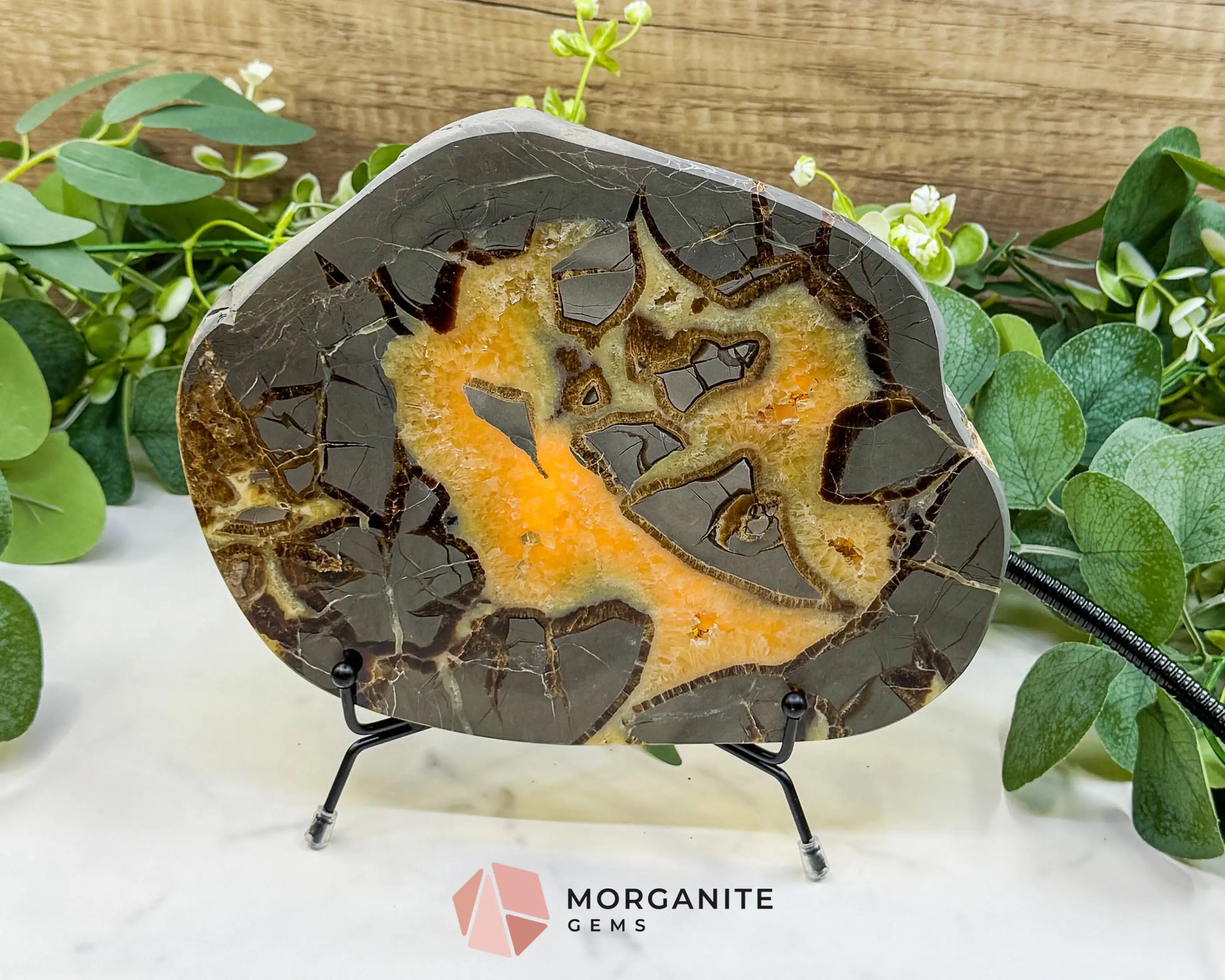 Utah Septarian ’Dragon Stone’ Geode Slice No. 2 (2.02lb) – 8.75’’ Polished Local Specimen for Grounding & Protection