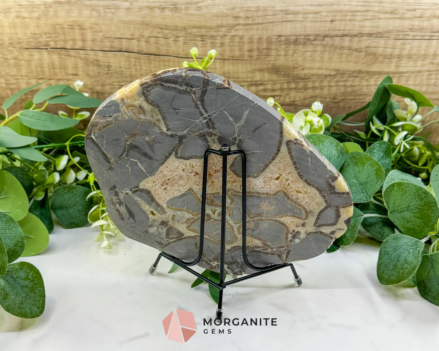 Utah Septarian ’Dragon Stone’ Geode Slice No. 2 (2.02lb) – 8.75’’ Polished Local Specimen for Grounding & Protection