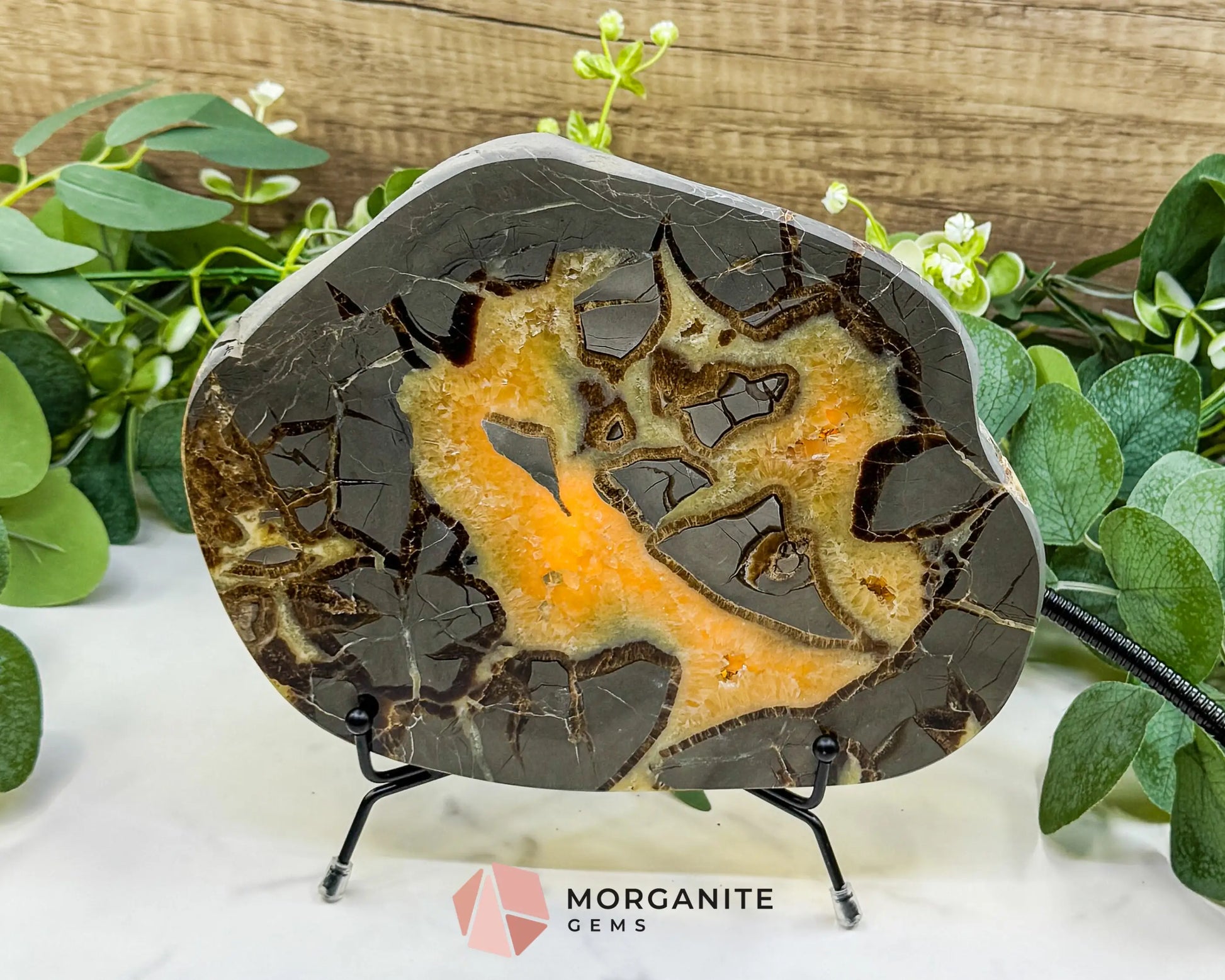 Utah Septarian ’Dragon Stone’ Geode Slice No. 2 (2.02lb) – 8.75’’ Polished Local Specimen for Grounding & Protection