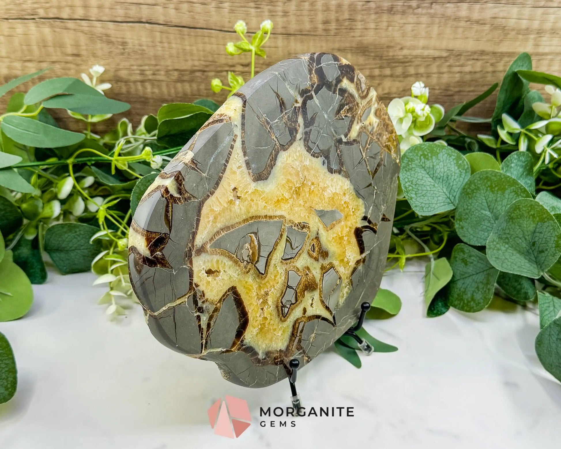 Utah Septarian ’Dragon Stone’ Geode Slice No. 2 (2.02lb) – 8.75’’ Polished Local Specimen for Grounding & Protection