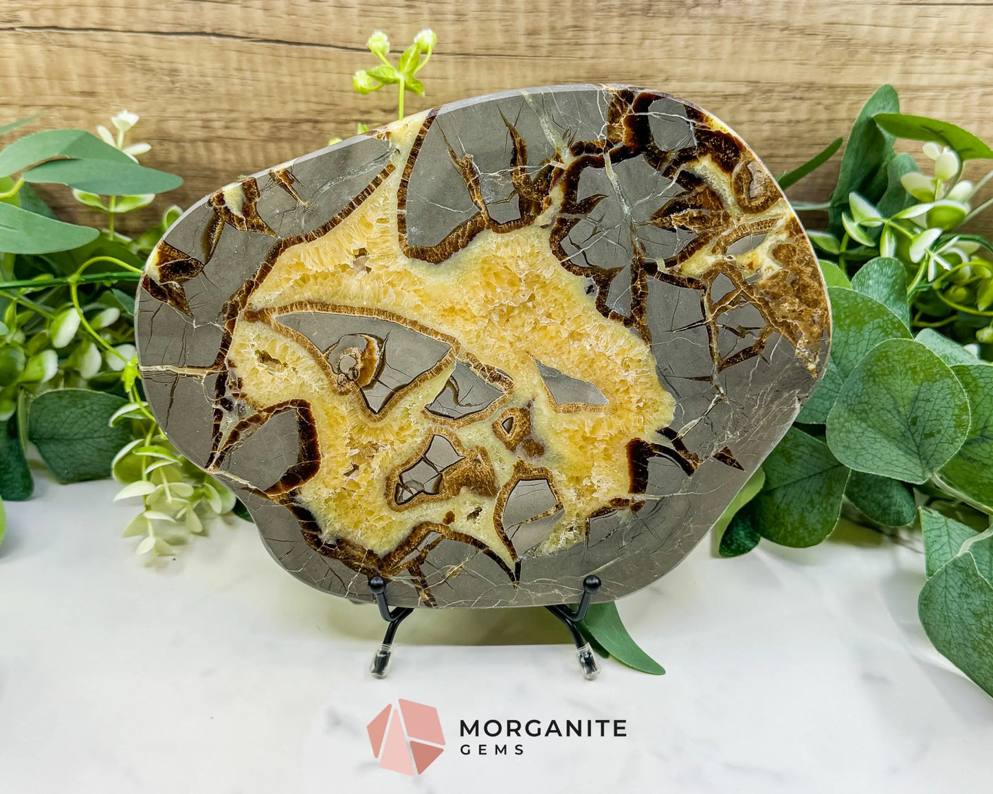 Utah Septarian ’Dragon Stone’ Geode Slice No. 2 (2.02lb) – 8.75’’ Polished Local Specimen for Grounding & Protection