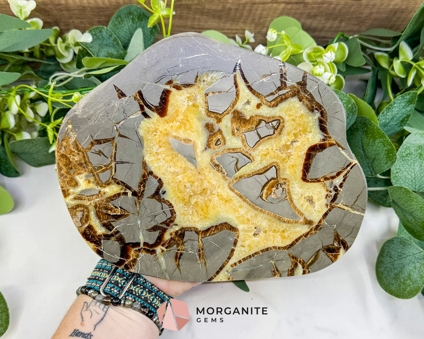 Utah Septarian ’Dragon Stone’ Geode Slice No. 2 (2.02lb) – 8.75’’ Polished Local Specimen for Grounding & Protection