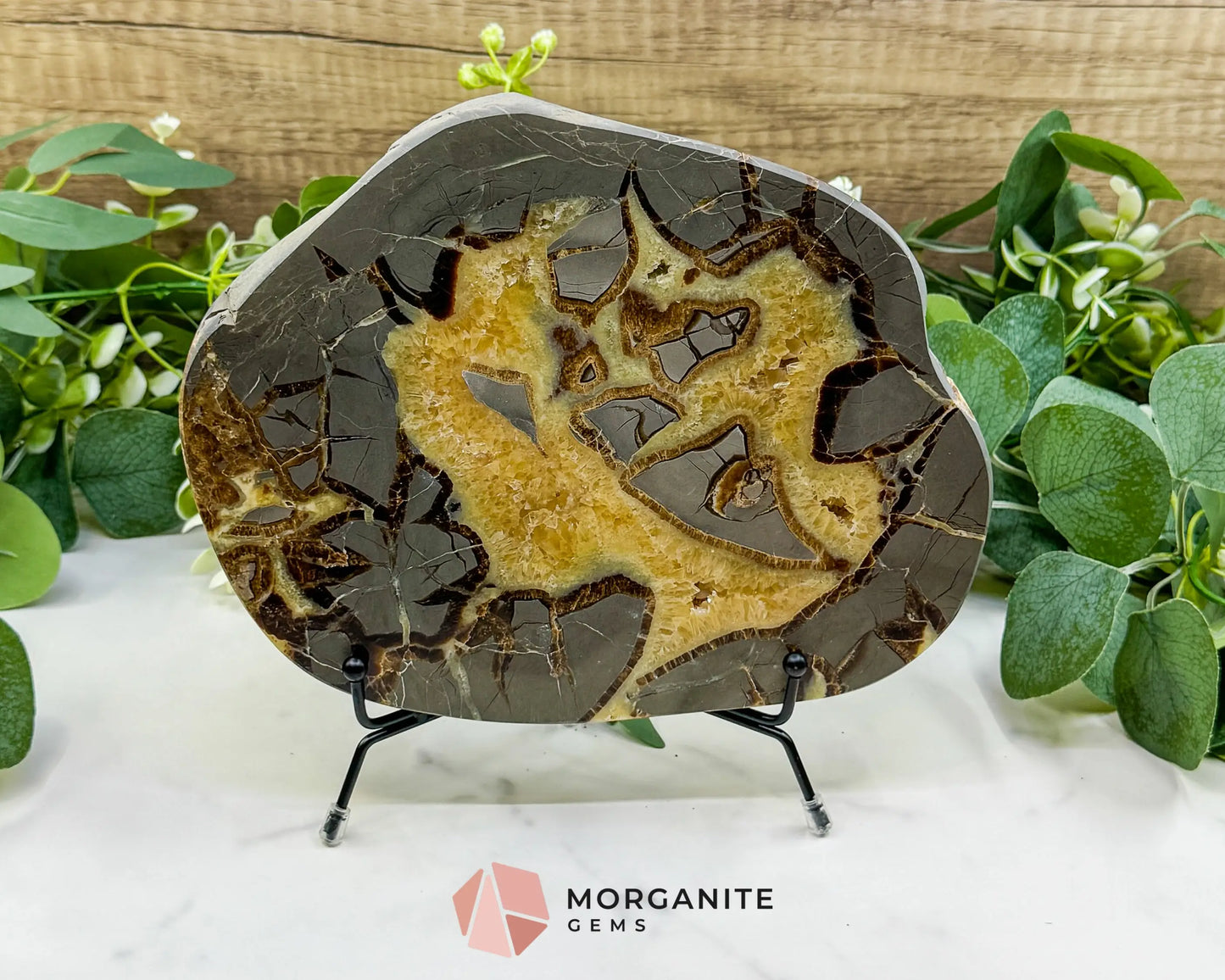 Utah Septarian ’Dragon Stone’ Geode Slice No. 2 (2.02lb) – 8.75’’ Polished Local Specimen for Grounding & Protection