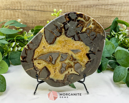 Utah Septarian ’Dragon Stone’ Geode Slice No. 2 (2.02lb) – 8.75’’ Polished Local Specimen for Grounding & Protection