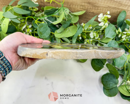 Utah Septarian ’Dragon Stone’ Geode Slice No. 5 (3lbs) – 9’’ Polished Local Specimen for Grounding & Protection