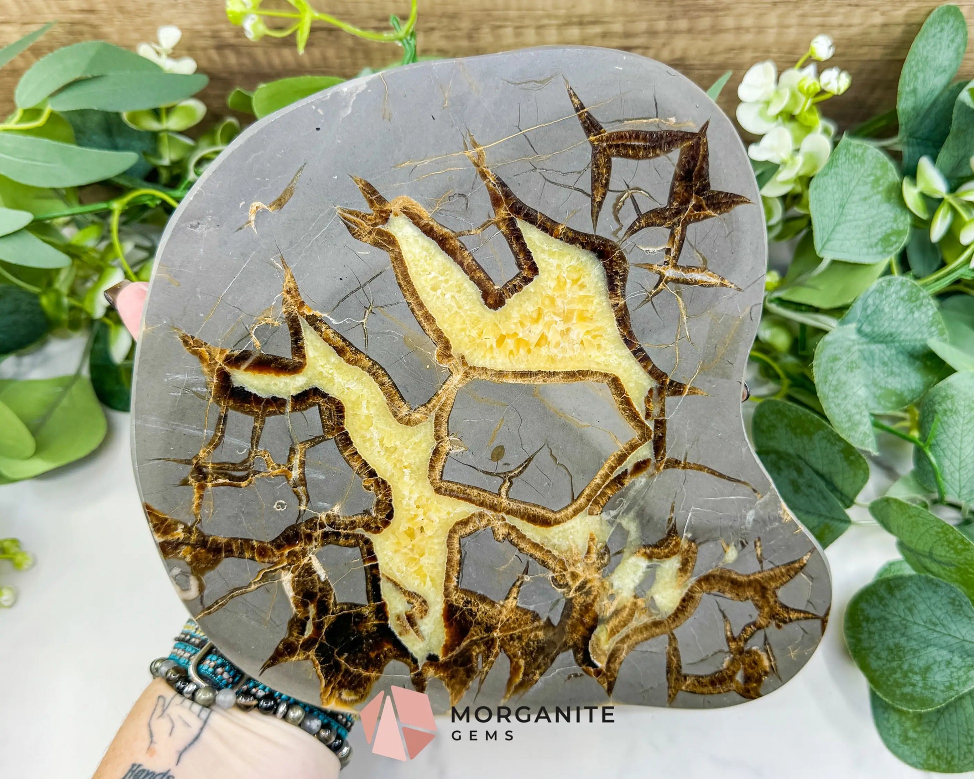 Utah Septarian ’Dragon Stone’ Geode Slice No. 5 (3lbs) – 9’’ Polished Local Specimen for Grounding & Protection