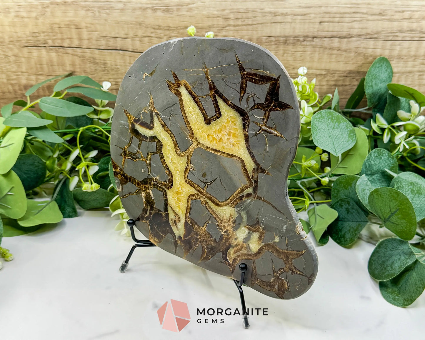Utah Septarian ’Dragon Stone’ Geode Slice No. 5 (3lbs) – 9’’ Polished Local Specimen for Grounding & Protection