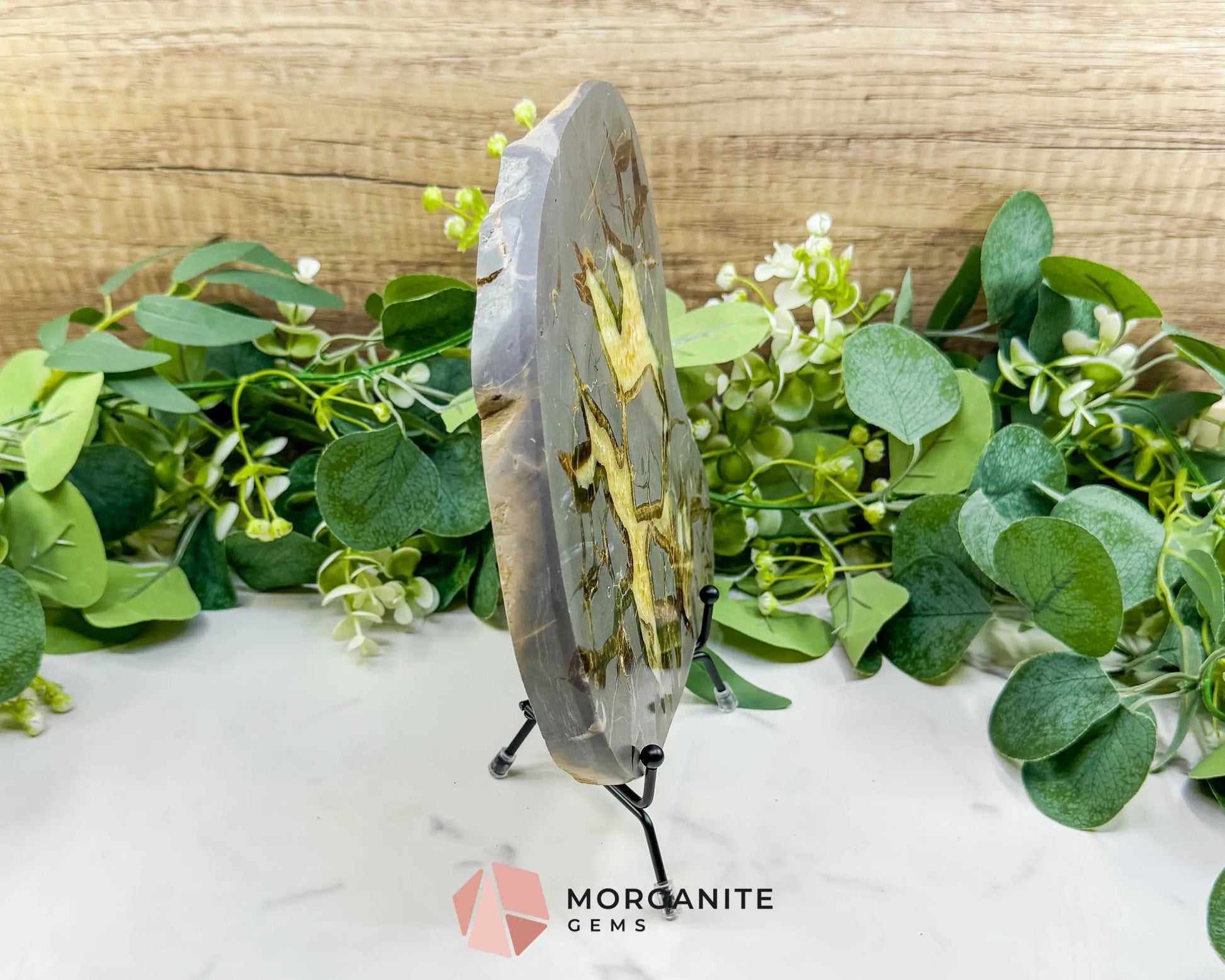 Utah Septarian ’Dragon Stone’ Geode Slice No. 5 (3lbs) – 9’’ Polished Local Specimen for Grounding & Protection