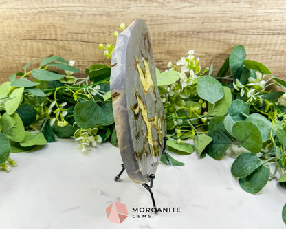 Utah Septarian ’Dragon Stone’ Geode Slice No. 5 (3lbs) – 9’’ Polished Local Specimen for Grounding & Protection