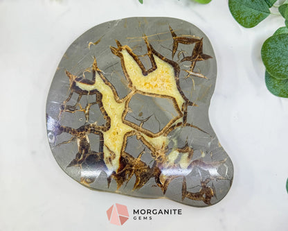 Utah Septarian ’Dragon Stone’ Geode Slice No. 5 (3lbs) – 9’’ Polished Local Specimen for Grounding & Protection - Slab