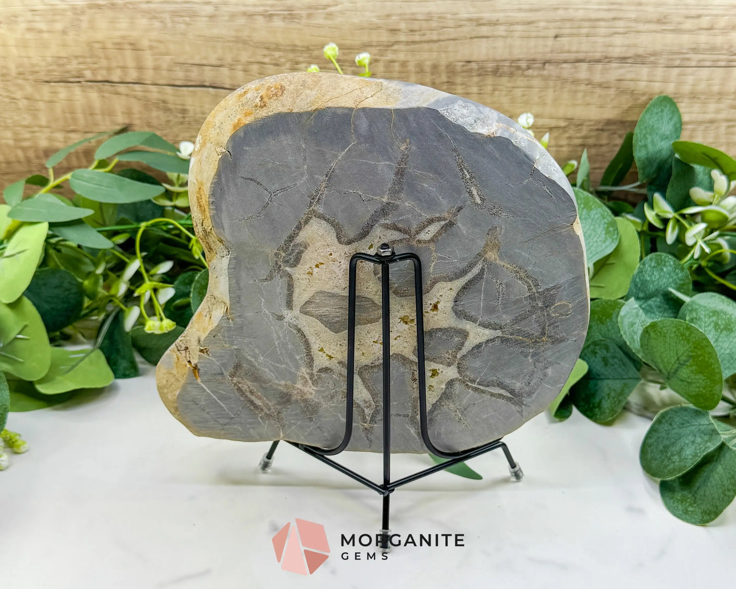 Utah Septarian ’Dragon Stone’ Geode Slice No. 5 (3lbs) – 9’’ Polished Local Specimen for Grounding & Protection - w/