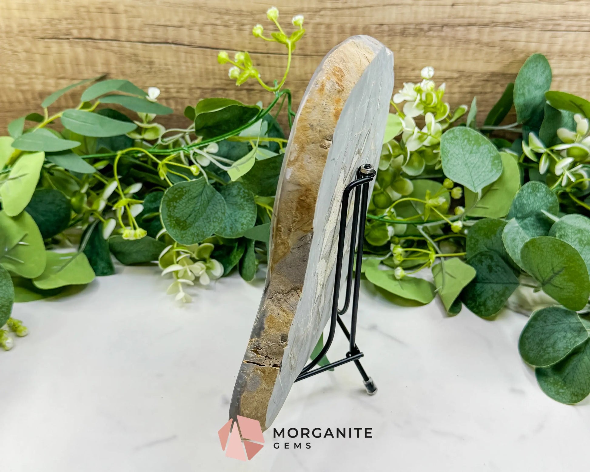 Utah Septarian ’Dragon Stone’ Geode Slice No. 5 (3lbs) – 9’’ Polished Local Specimen for Grounding & Protection