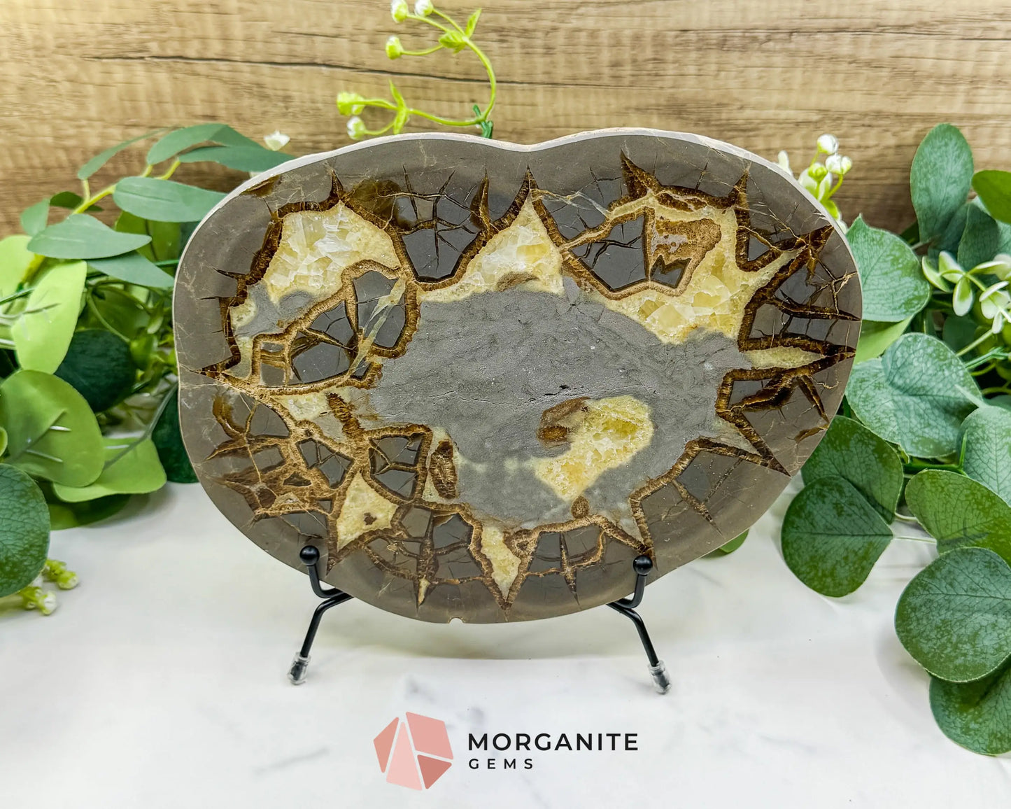 Utah Septarian ’Dragon Stone’ Geode Slice No. 6 (2.5lb) – 9.25’’ Polished Local Specimen for Grounding & Protection