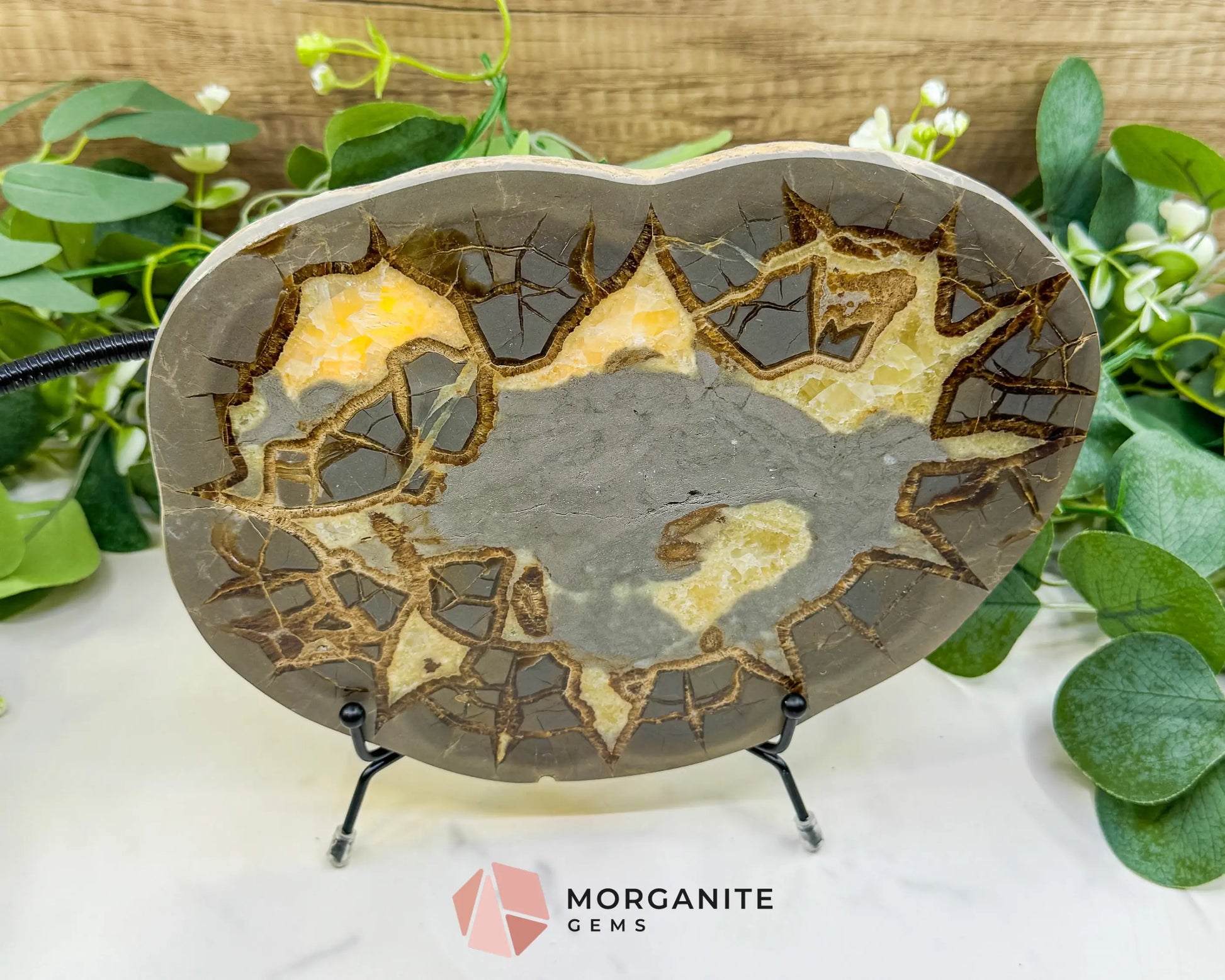 Utah Septarian ’Dragon Stone’ Geode Slice No. 6 (2.5lb) – 9.25’’ Polished Local Specimen for Grounding & Protection