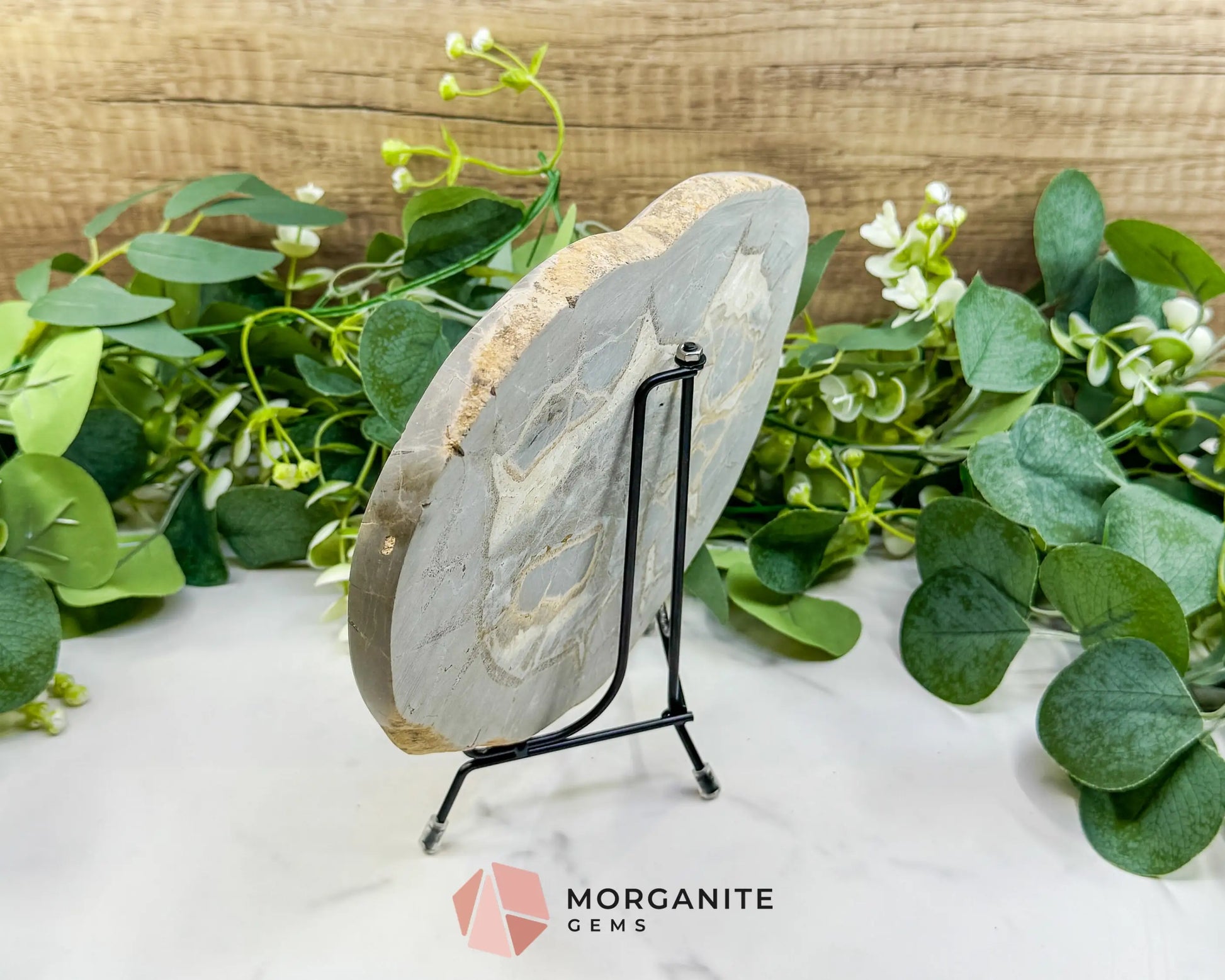 Utah Septarian ’Dragon Stone’ Geode Slice No. 6 (2.5lb) – 9.25’’ Polished Local Specimen for Grounding & Protection