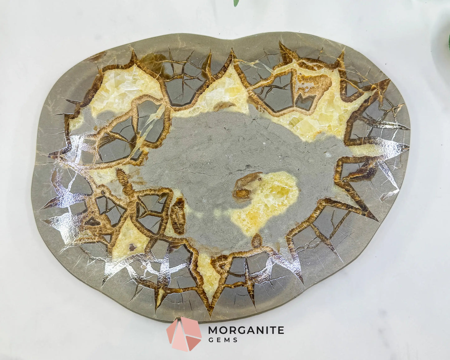 Utah Septarian ’Dragon Stone’ Geode Slice No. 6 (2.5lb) – 9.25’’ Polished Local Specimen for Grounding & Protection