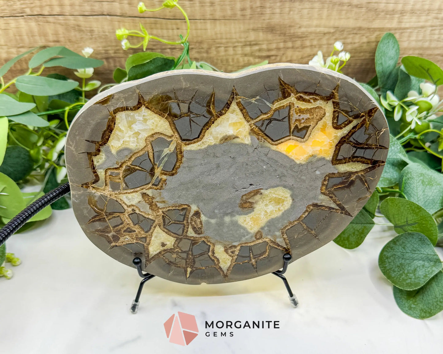 Utah Septarian ’Dragon Stone’ Geode Slice No. 6 (2.5lb) – 9.25’’ Polished Local Specimen for Grounding & Protection