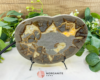 Utah Septarian ’Dragon Stone’ Geode Slice No. 6 (2.5lb) – 9.25’’ Polished Local Specimen for Grounding & Protection