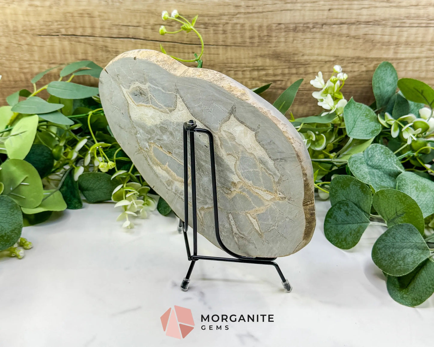 Utah Septarian ’Dragon Stone’ Geode Slice No. 6 (2.5lb) – 9.25’’ Polished Local Specimen for Grounding & Protection