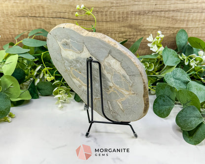 Utah Septarian ’Dragon Stone’ Geode Slice No. 6 (2.5lb) – 9.25’’ Polished Local Specimen for Grounding & Protection