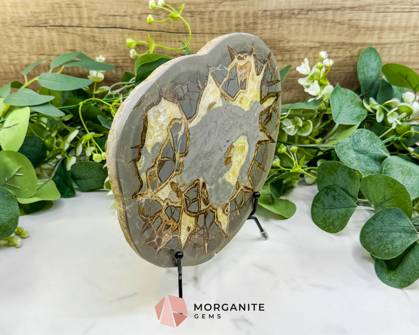 Utah Septarian ’Dragon Stone’ Geode Slice No. 6 (2.5lb) – 9.25’’ Polished Local Specimen for Grounding & Protection