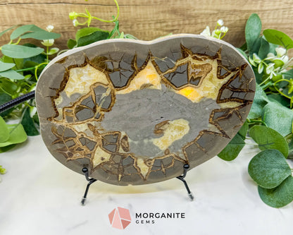 Utah Septarian ’Dragon Stone’ Geode Slice No. 6 (2.5lb) – 9.25’’ Polished Local Specimen for Grounding & Protection