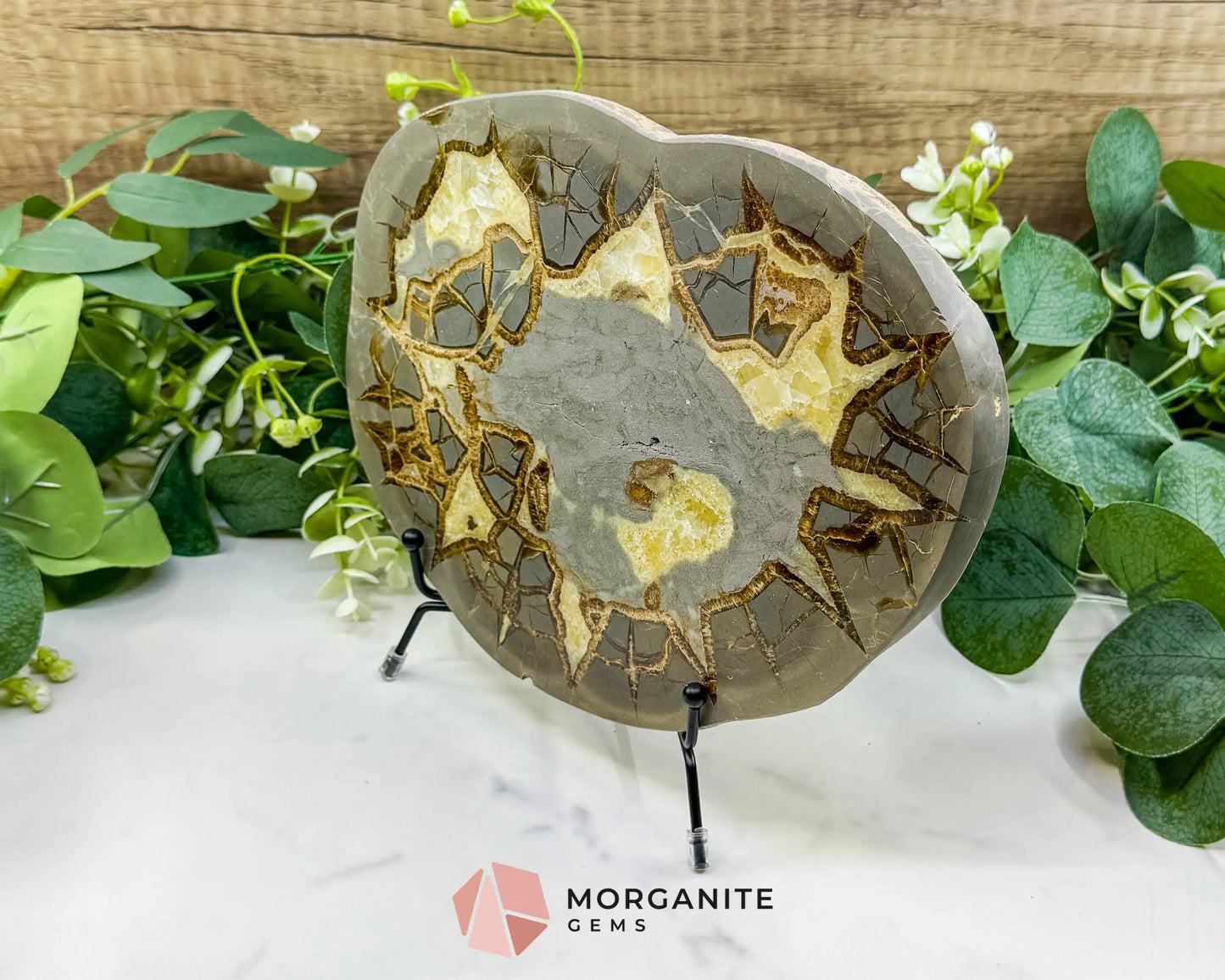 Utah Septarian ’Dragon Stone’ Geode Slice No. 6 (2.5lb) – 9.25’’ Polished Local Specimen for Grounding & Protection