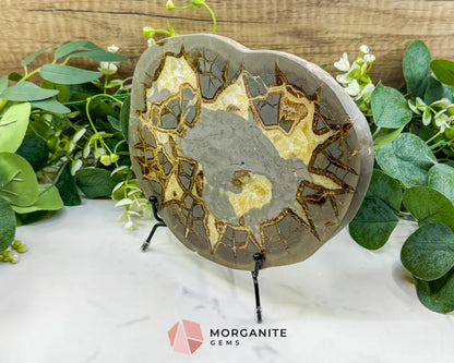 Utah Septarian ’Dragon Stone’ Geode Slice No. 6 (2.5lb) – 9.25’’ Polished Local Specimen for Grounding & Protection