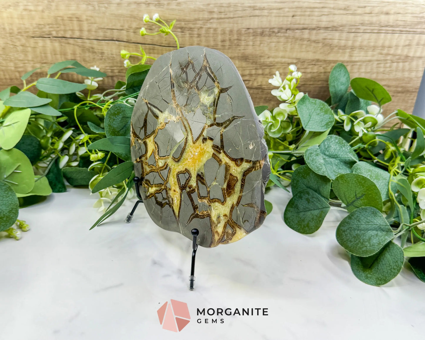 Utah Septarian ’Dragon Stone’ Geode Slice No. 7 (1.5lb) – 8’’ Polished Local Specimen for Grounding & Protection